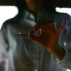 10 Minute Aroma 005 Tea Tree Japanese Incense -Office Supply Store 10 minute aroma 005 tea tree japanese incense 543