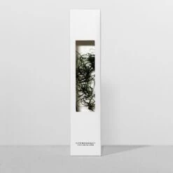 Bottle Plant / Goanacrow / SPM_010 -Office Supply Store bottle plant goanacrow spm 010 immerged 584