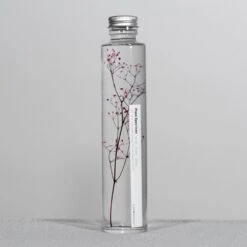 Bottle Plant / Gypsophila Elegans / SPM_013