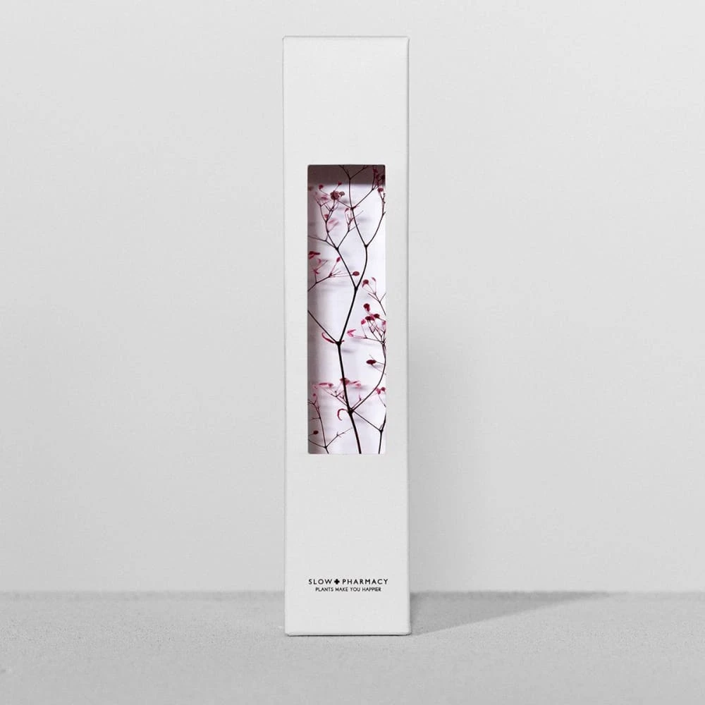 Bottle Plant / Gypsophila Elegans / SPM_013 3 Bottle Plant / Gypsophila Elegans / SPM_013 - Image 2