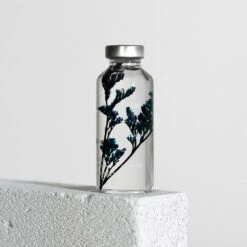 Bottle Plant / Limonium Tetragonum / SPS_016