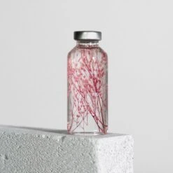 Bottle Plant / Peacock Grass / SPS_022