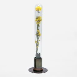 HERBARIUM BRASS GLASS DOME & FLOWER VASE RUST -Office Supply Store herbarium brass glass dome flower vase rust 154