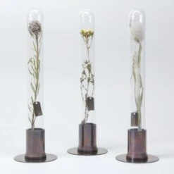 HERBARIUM BRASS GLASS DOME & FLOWER VASE RUST -Office Supply Store herbarium brass glass dome flower vase rust 700