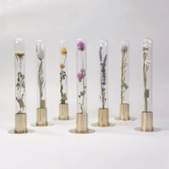 HERBARIUM BRASS GLASS DOME & FLOWER VASE SOLID -Office Supply Store herbarium brass glass dome flower vase solid 318