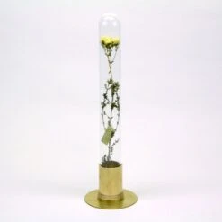 HERBARIUM BRASS GLASS DOME & FLOWER VASE SOLID -Office Supply Store herbarium brass glass dome flower vase solid 623