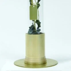HERBARIUM BRASS GLASS DOME & FLOWER VASE SOLID -Office Supply Store herbarium brass glass dome flower vase solid 726